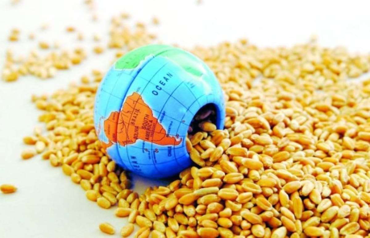 Мировые рынки зерна реагируют на сокращение импорта пшеницы Китаем