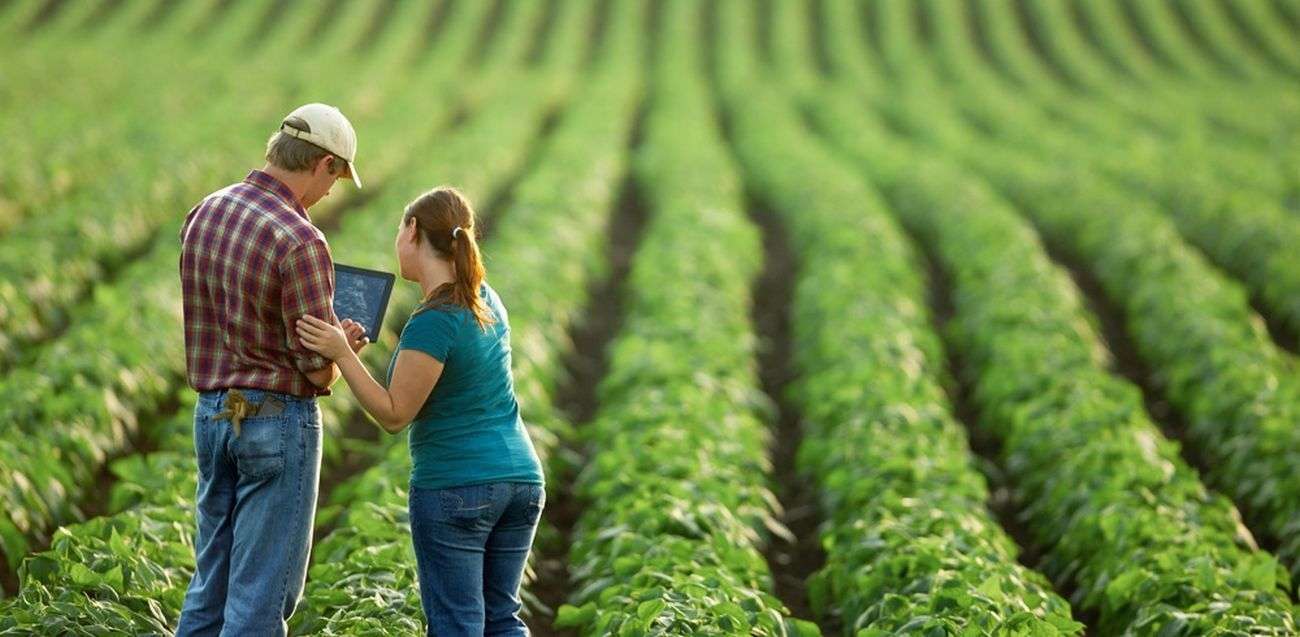 108 agricultori susținuți de IFAD în 2024 pentru dezvoltarea afacerilor