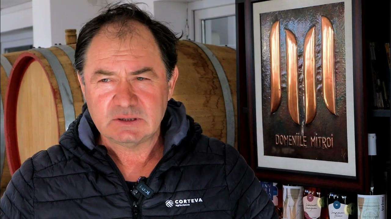 Viticultorii sporesc reziliența culturilor de viță-de-vie cu soluții inovatoare