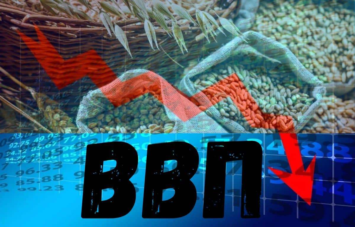 Сельское хозяйство ускорило падение ВВП Молдовы в первом квартале 2025 года