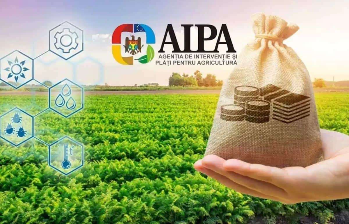 AIPA выделила более 41 млн леев субсидий фермерам