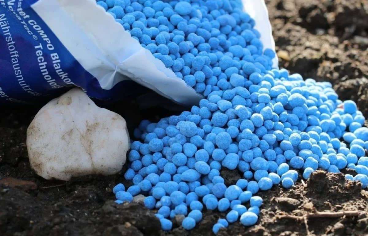 ФАО: Мировые цены на удобрения растут