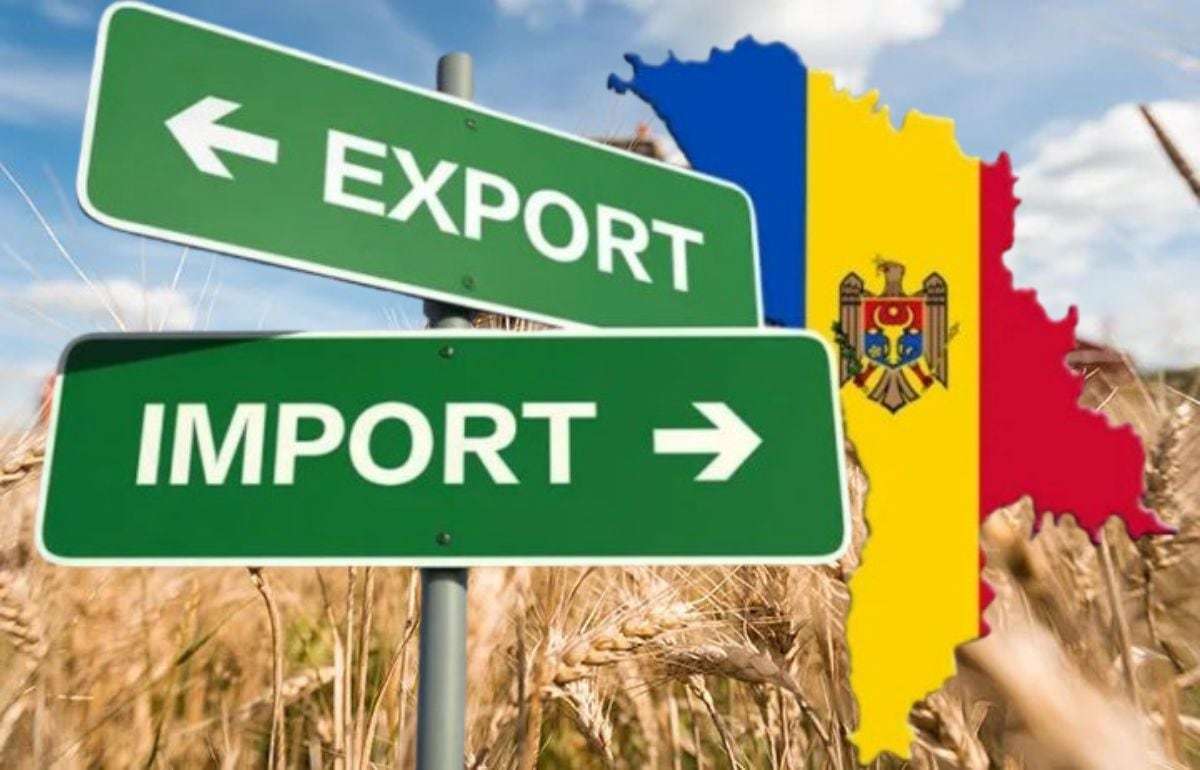 Экспорт агропромышленной продукции Молдовы: тенденции мая 2025 года