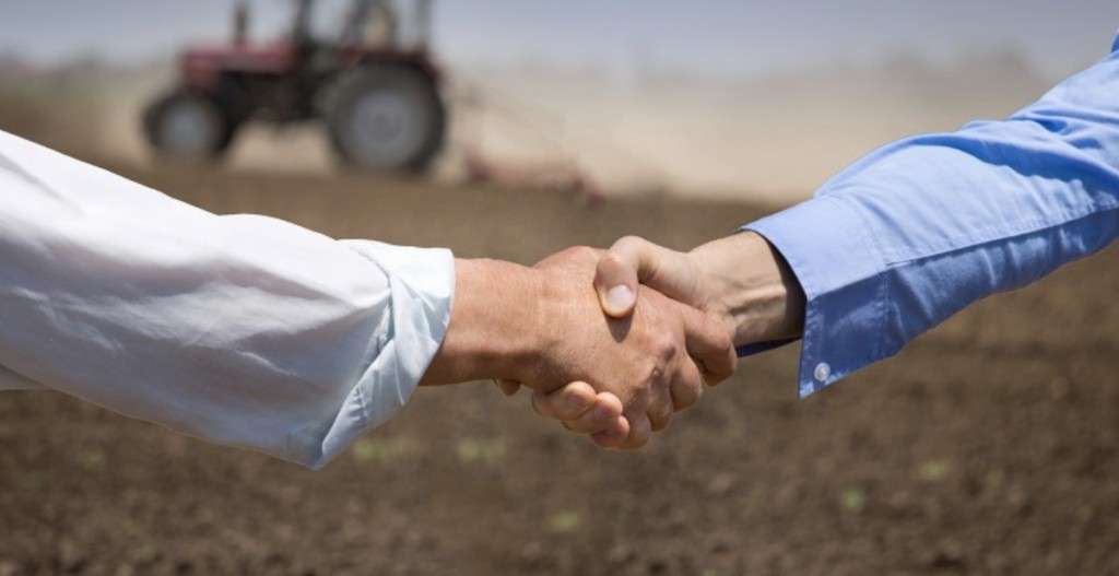 Plăți de peste 89 mil. lei în 2024 pentru primele de asigurare agricolă