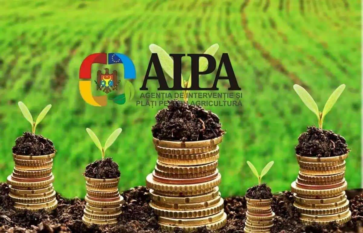 AIPA отчиталась об одобрении очередных субсидий на 26 млн леев