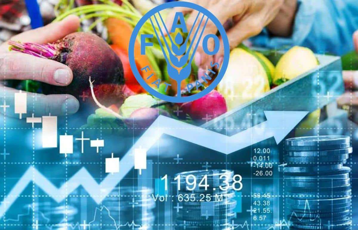 ФАО: Продовольствие в мире дорожает, мясо и молочные продукты бьют рекорды
