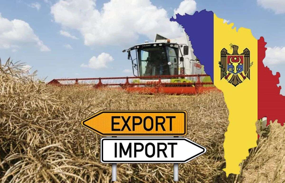 Динамика агропромышленного экспорта Республики Молдова в июне 2025 года