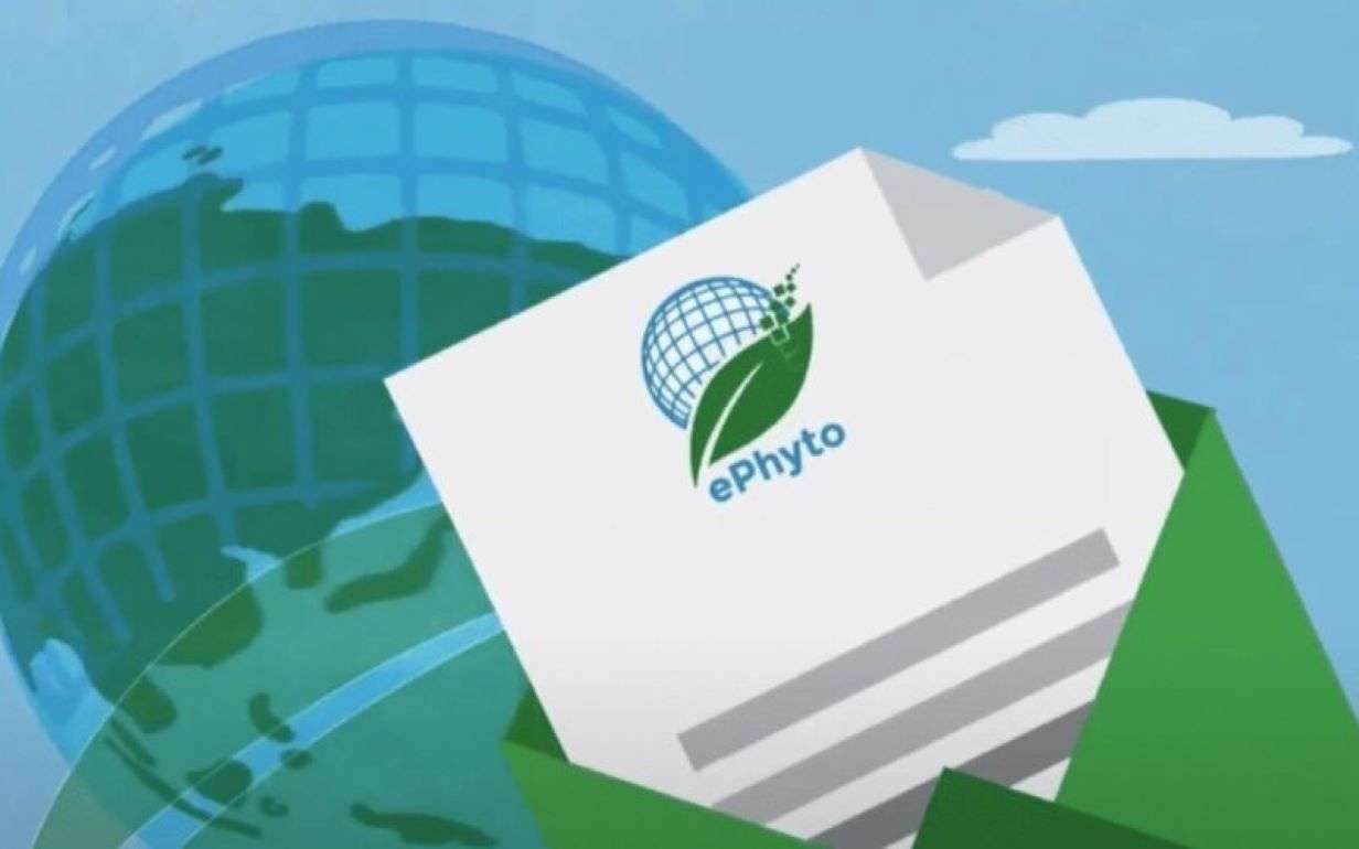 ANSA выдала первый электронный фитосанитарный сертификат через ePhyto