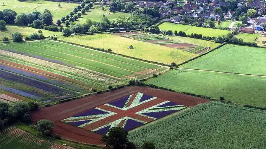Британские власти поддержат фермеров после Brexit