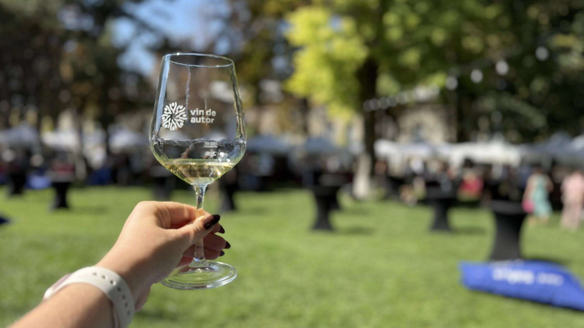 Micii producători te invită la Festivalul Vinului de Autor