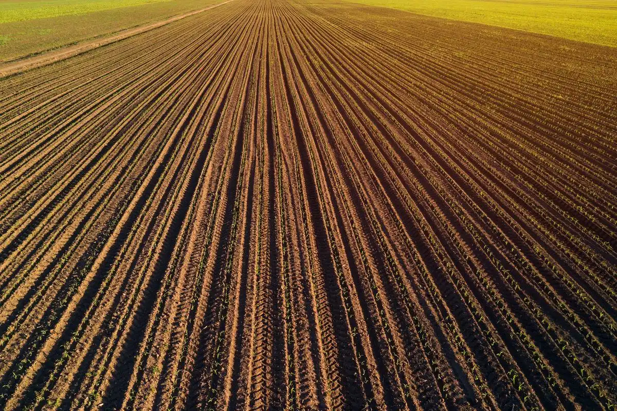 Cel mai scump teren agricol s-a vândut la Iași cu sute de mii de euro