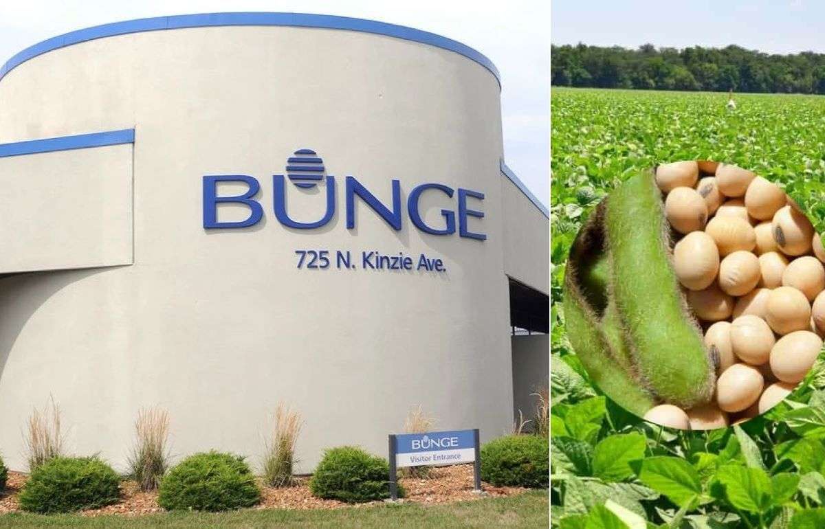 Bunge смотрит на торговлю соей через блокчейн