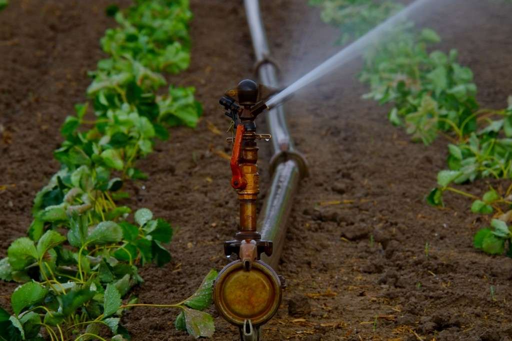 119 bunuri din infrastructura de irigații vor ajunge în gestiunea MAIA