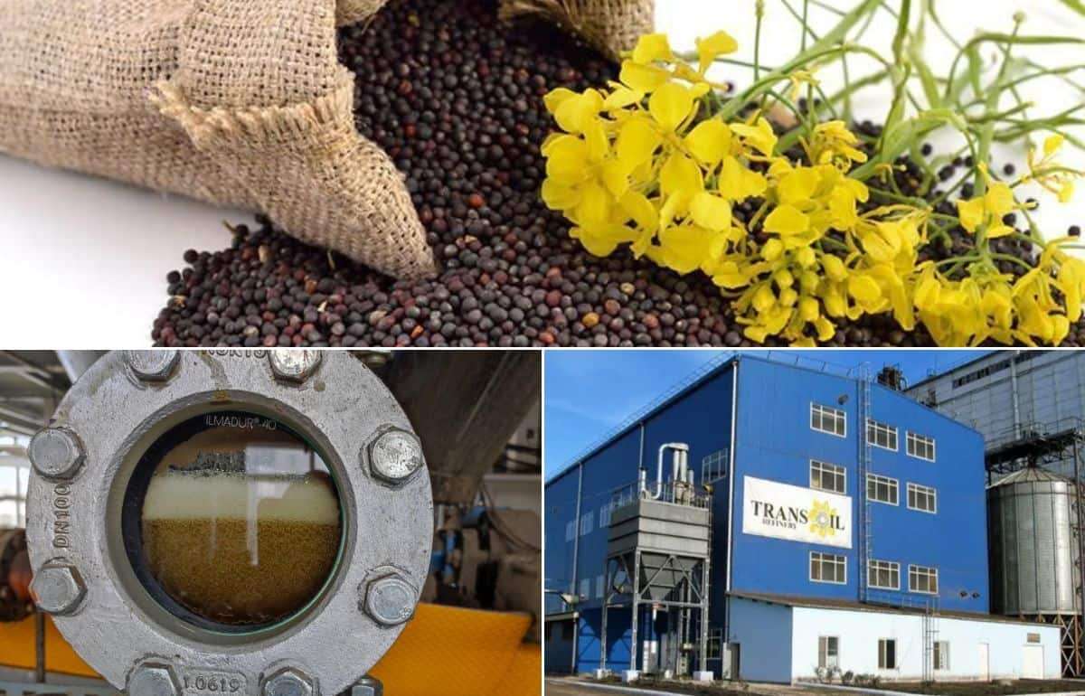Первый блин не комом: успешный старт рапсового комплекса Trans-Oil