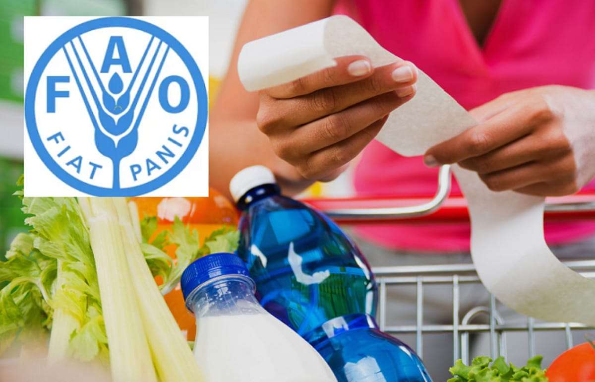 Мировые цены на продовольствие снижаются, исключение — растительные масла