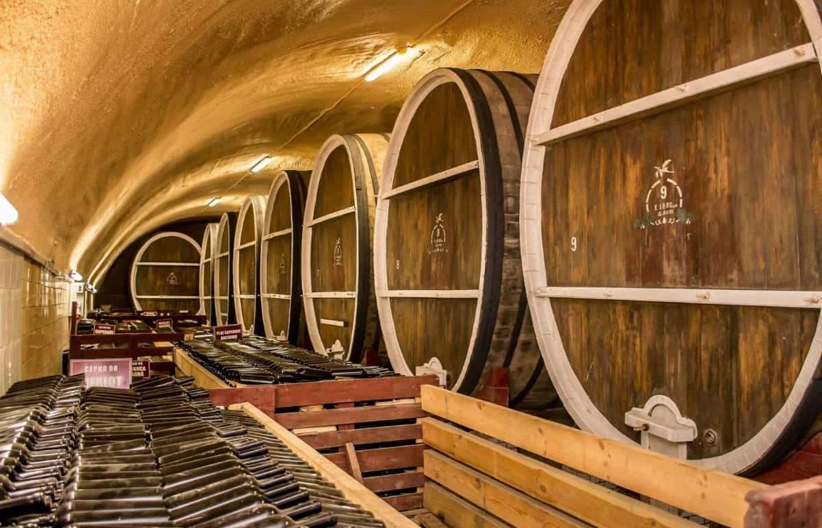 OIV прогнозирует рост производства вина в Молдове на 18% в 2025 году