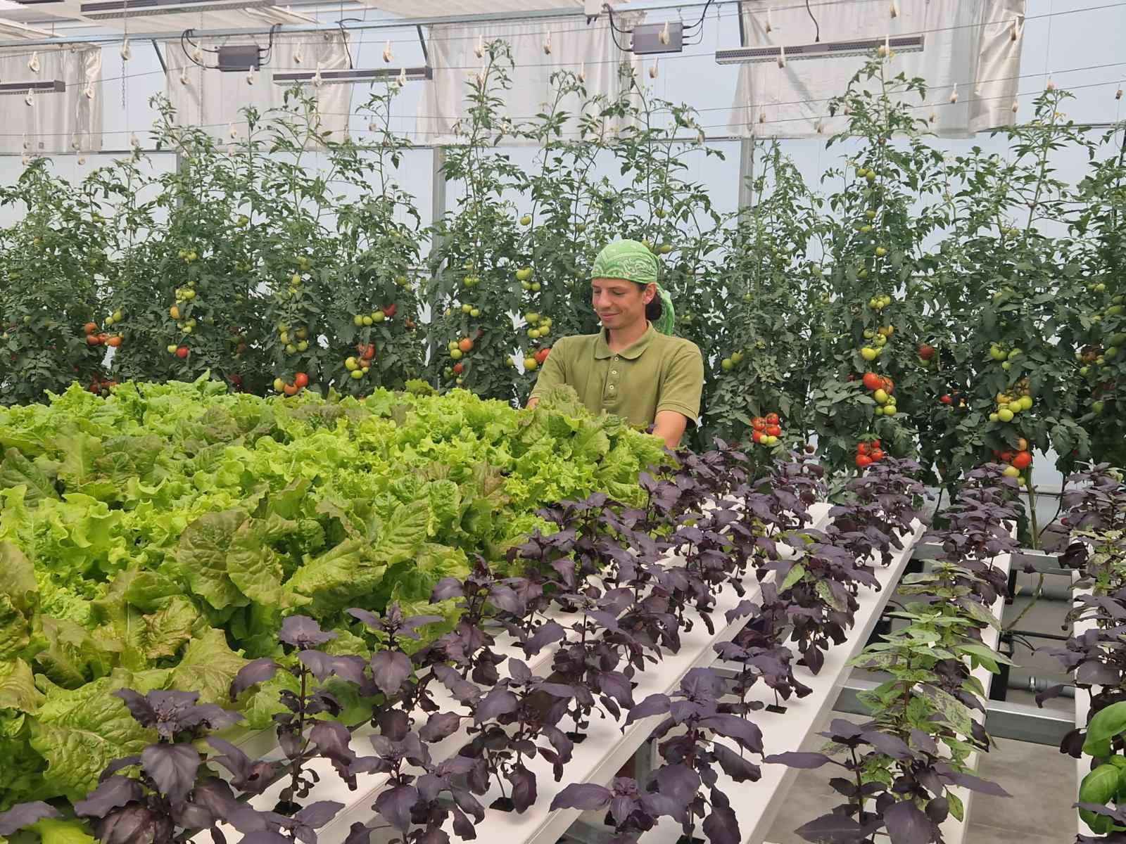 Tot mai mulți tineri aleg profesiile agricole