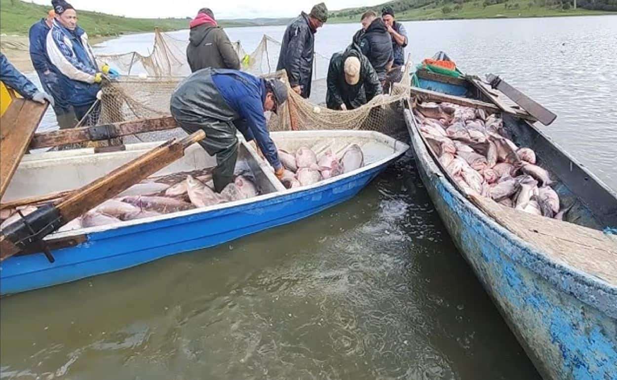 Молдова модернизирует аквакультуру: новые законы и стратегия развития