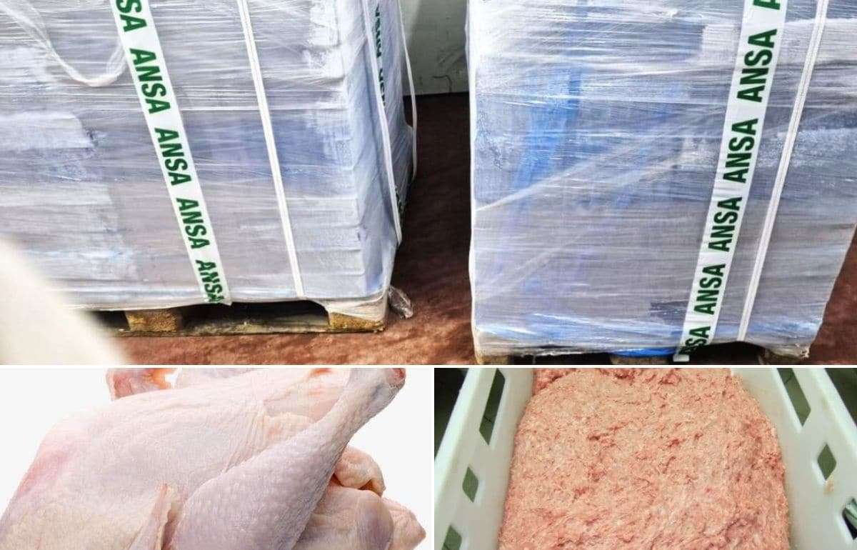 ANSA изъяло партию куриного мяса, заражённого сальмонеллой