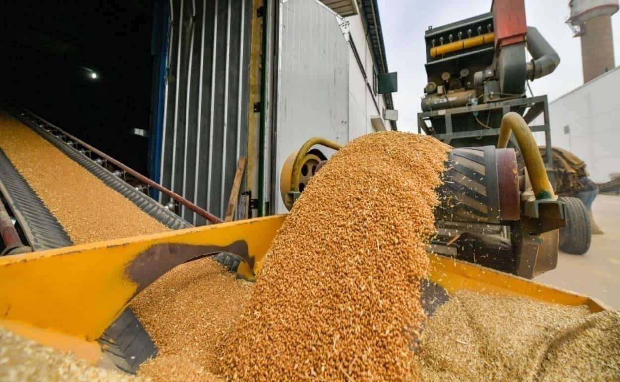В этом сезоне экспорт зерновых из стран Евросоюза вырос на 14%