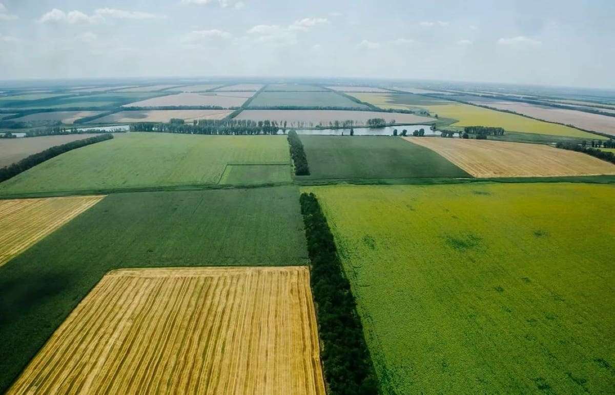 Стоимость сельхозземель в Украине продолжает расти