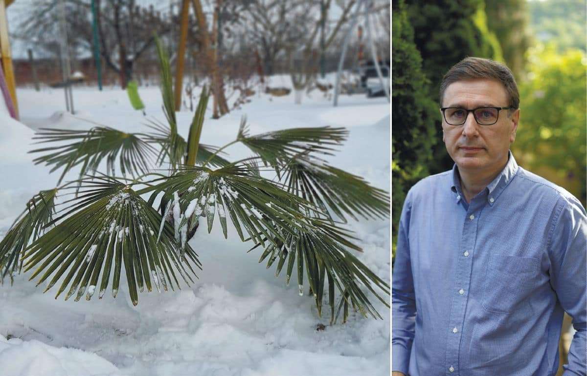 Лимоны на снегу: разговор с Вячеславом Ионицэ о саде и маленьких чудесах