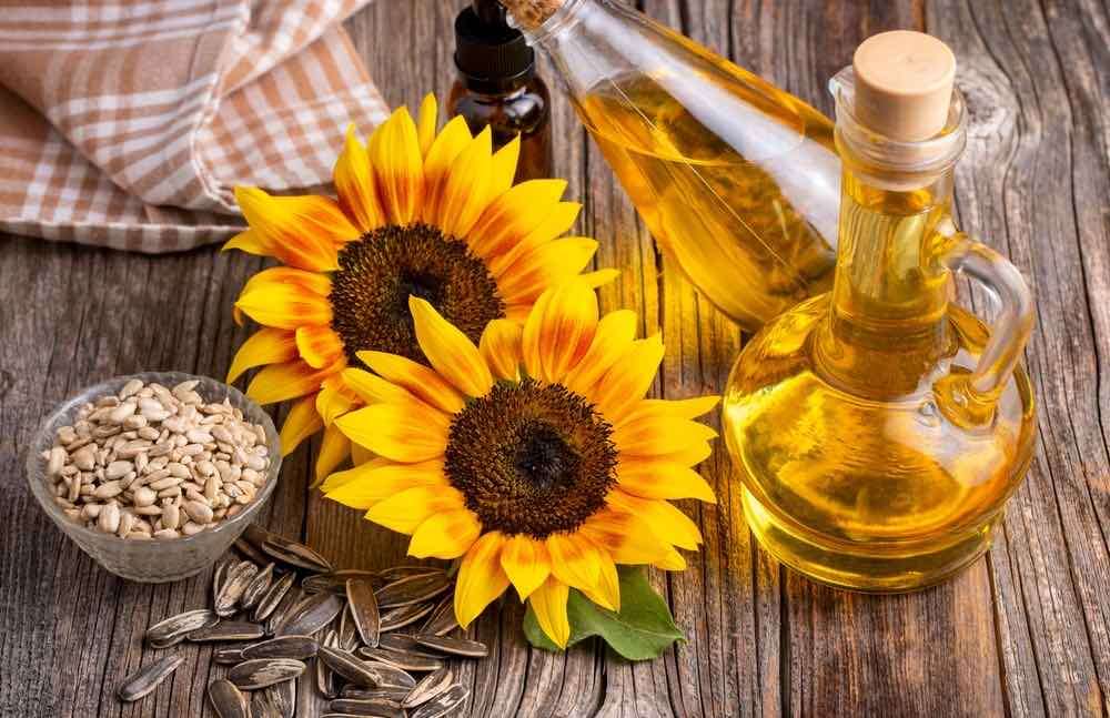Cum a fost valorificată producția de floarea-soarelui în 2025