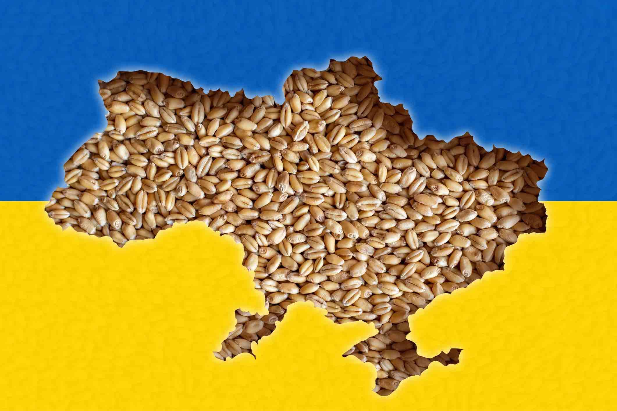 MAIA nu va urma exemplul României privind licențierea cerealelor