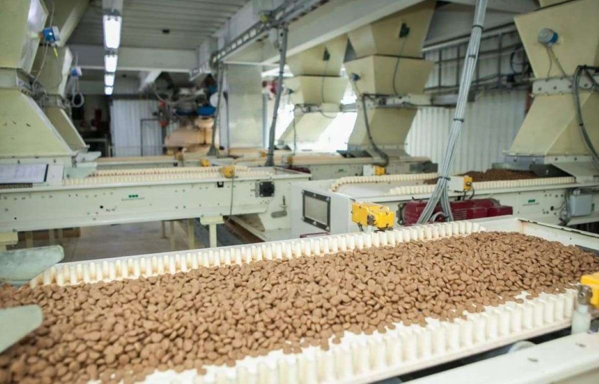 Мировой рынок комбикормов будет расти до 2035 года