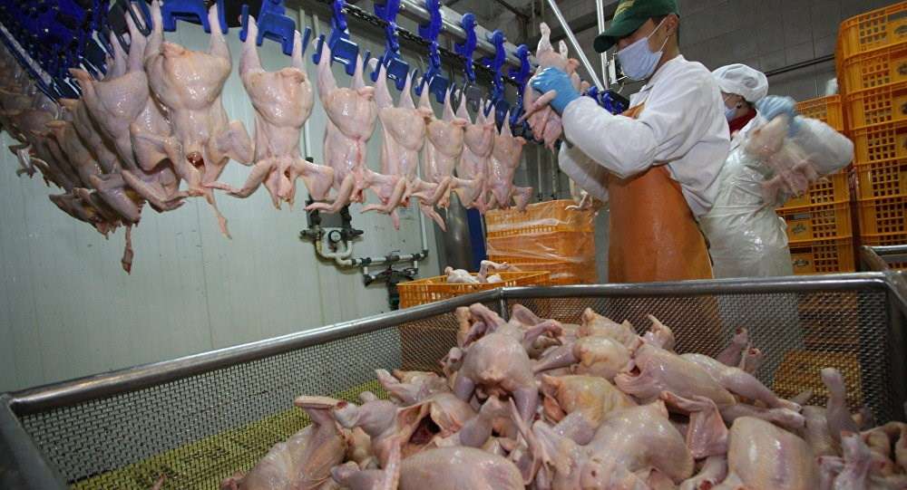Importul de carne de pasăre din Ucraina a fost suspendat
