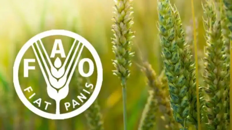 FAO внедрит в Молдове ряд новых проектов для развития сельского хозяйства