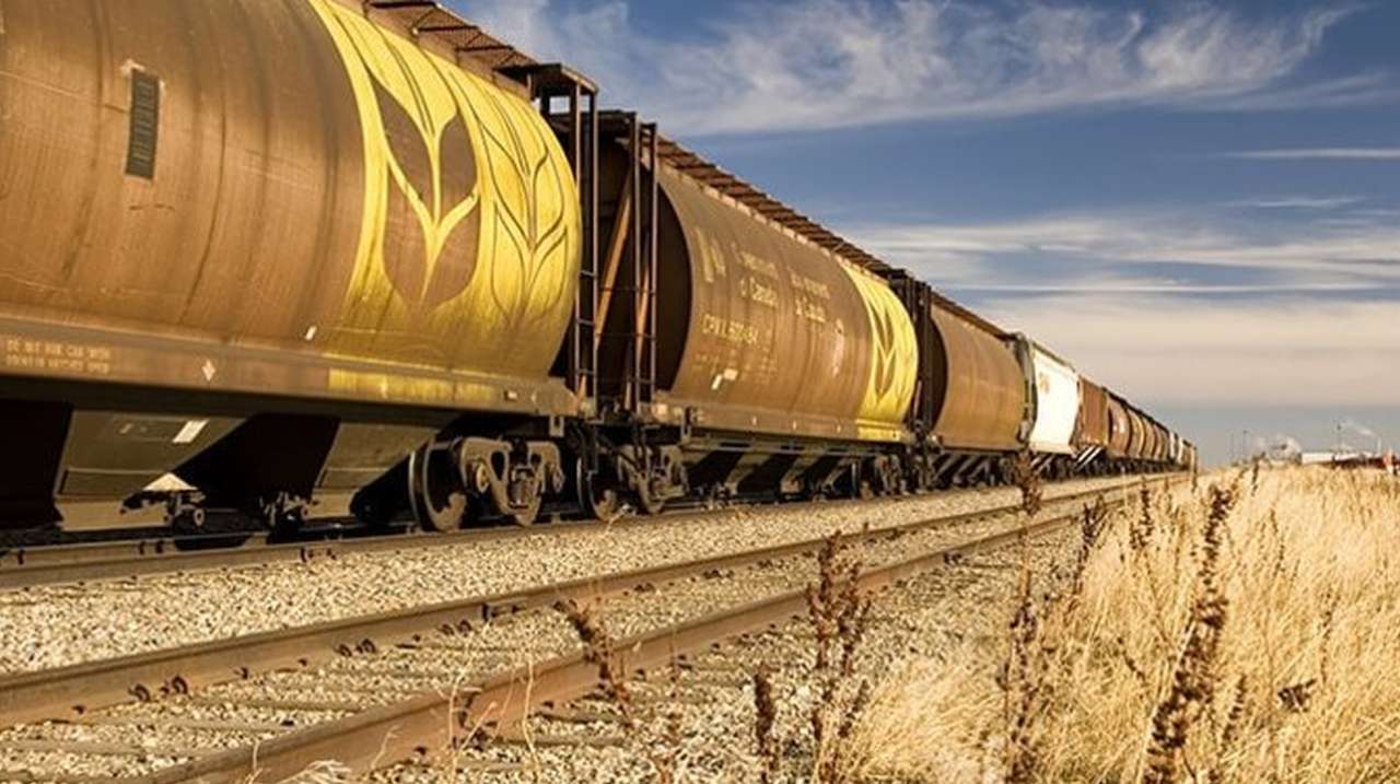 Transportul feroviar al cerealelor devine mai ieftin: CFM anunță tarife reduse