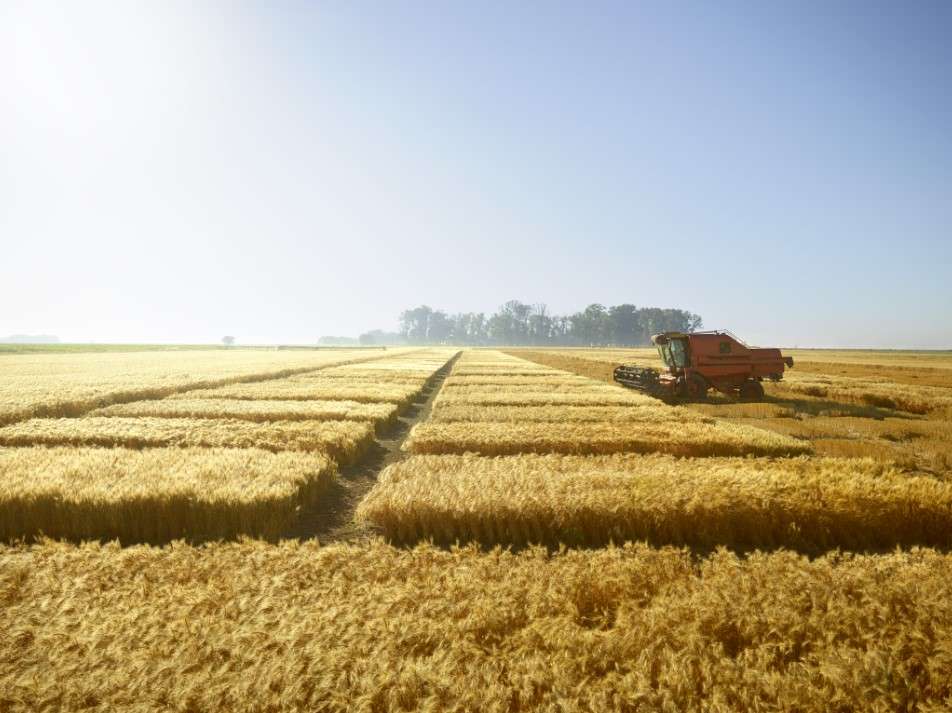 Inovația ajută fermierii să își asigure productivitatea și leadershipul la cereale