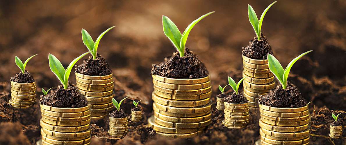 Fermierii pot accesa credite pentru cheltuieli curente prin programul FCA