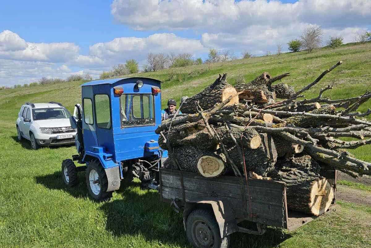 Tăieri ilicite și depozitări neautorizate de deșeuri depistate la Florești