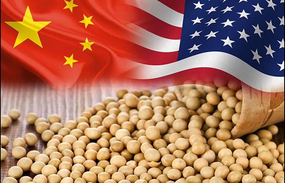 Фьючерсы на сою снизились: рынок реагирует на переговоры США и Китая
