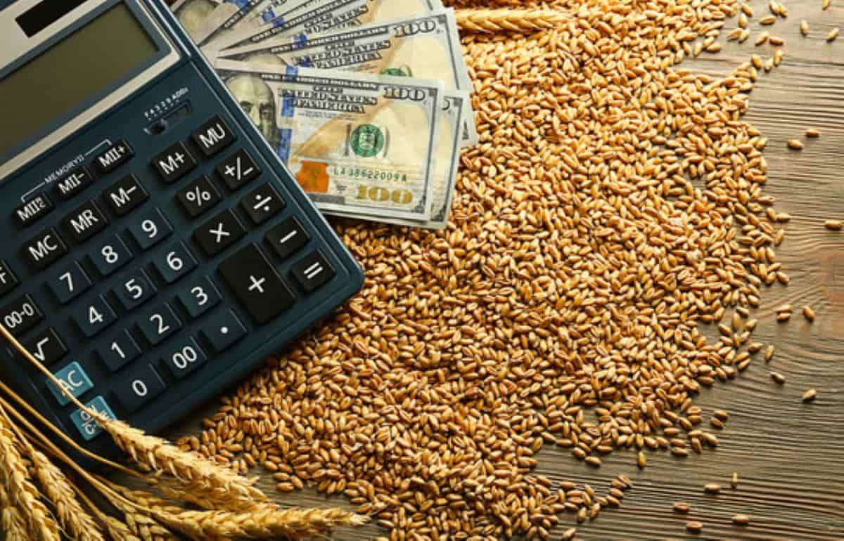 Падение пшеничных котировок на биржах давит на цены в Украине