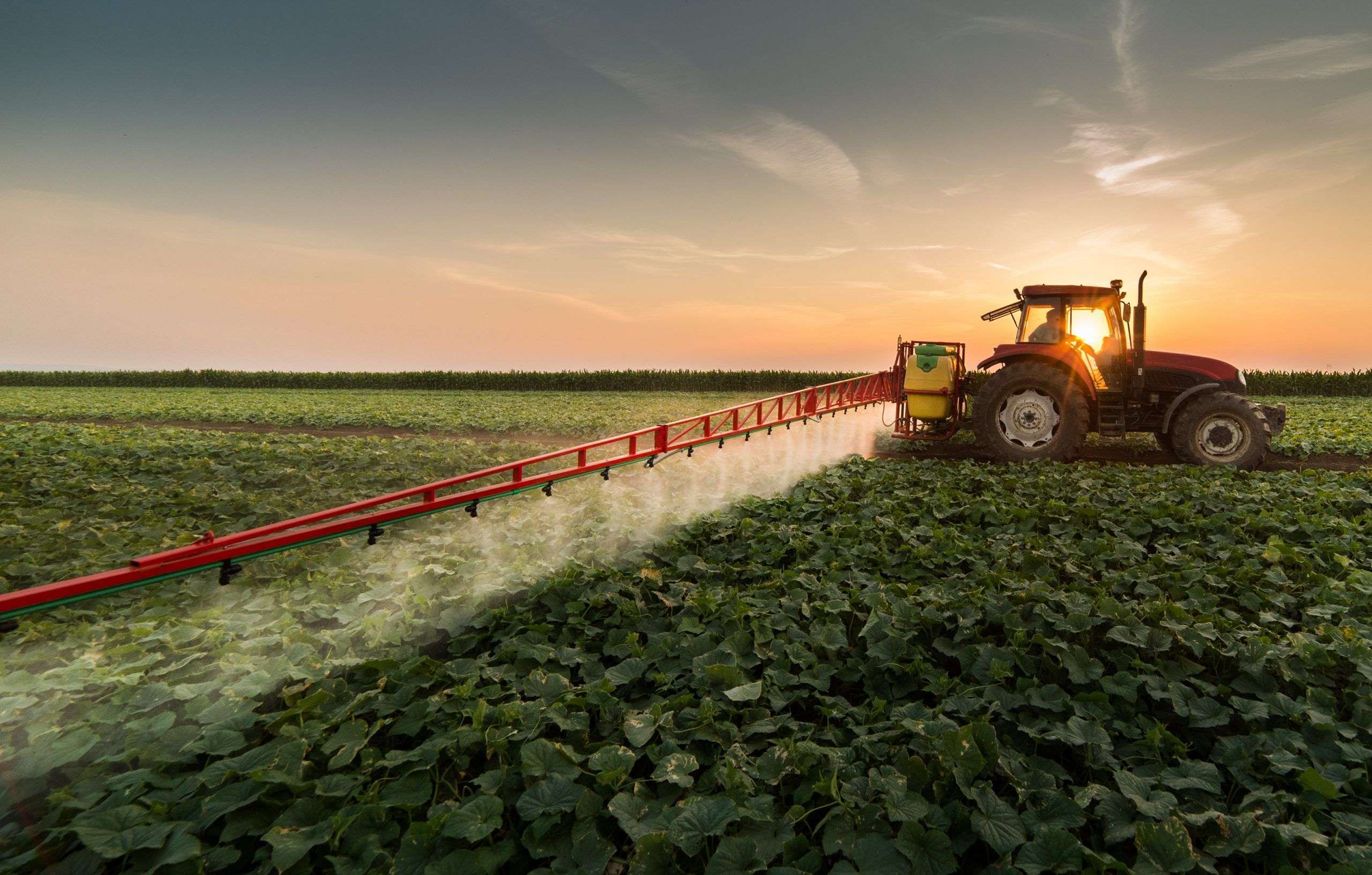 Importurile de pesticide au depășit 1,8 miliarde de lei