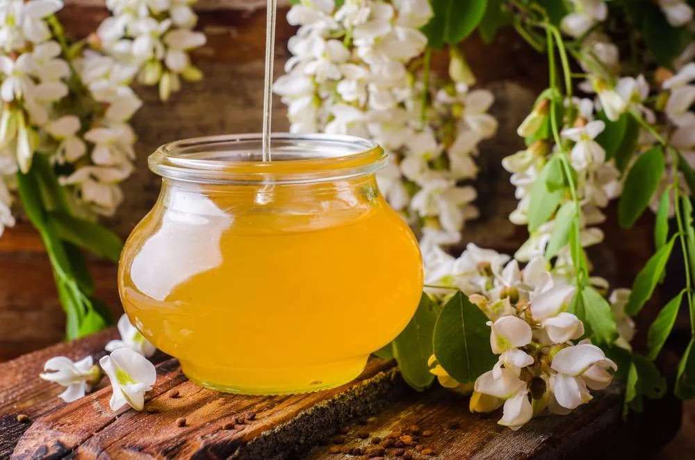Mierea de salcâm, sub așteptări. Apicultorii se tem de pierderi de peste 40%