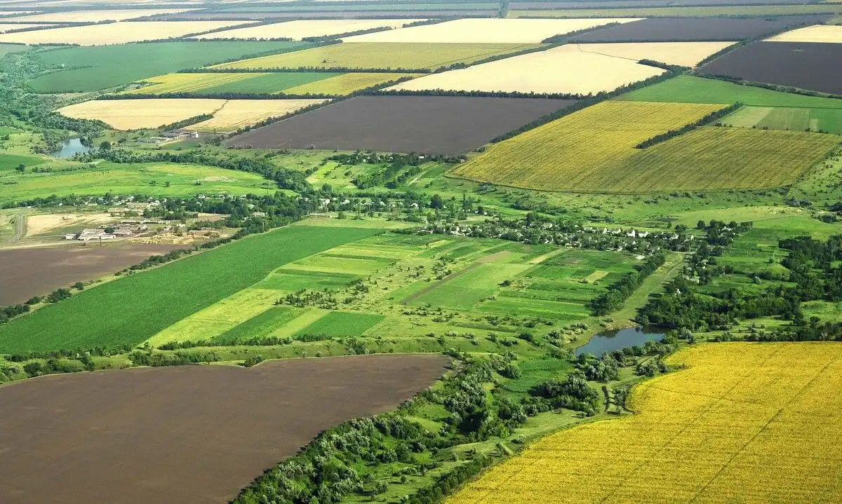 În România prețul terenurilor agricole este în creștere