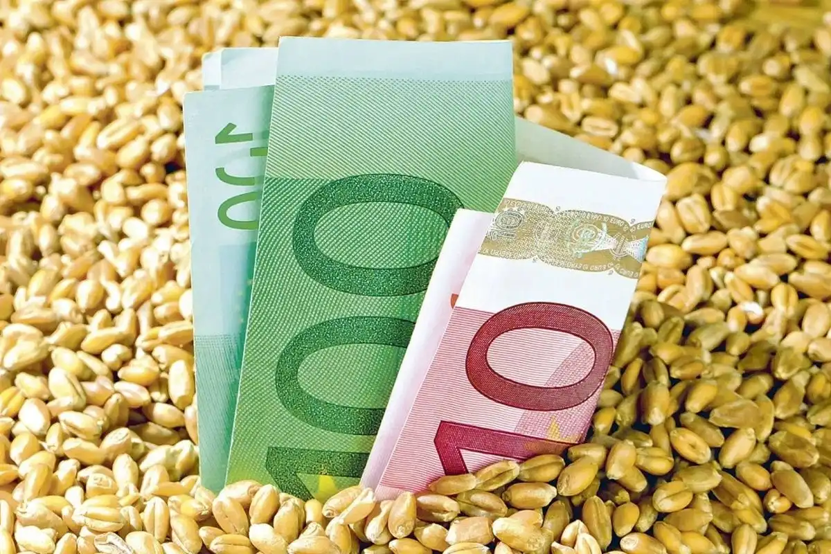 Doritorii de a iniția o afacere în agricultură pot solicita subvenții în avans