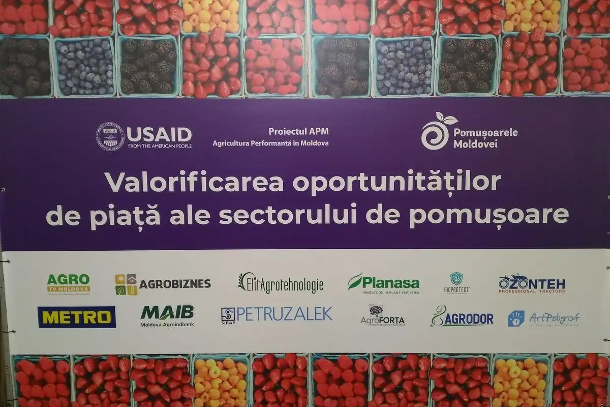Conferința Națională: Valorificarea oportunităților de piață ale sectorului de pomușoare