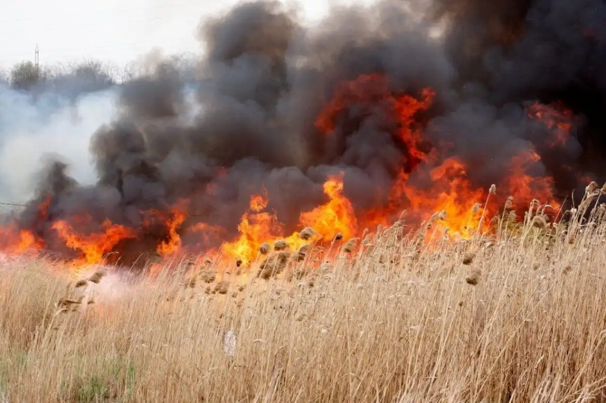 Peste 600 de hectare de vegetație uscată au fost mistuite de flăcări în ultimele 24 de ore
