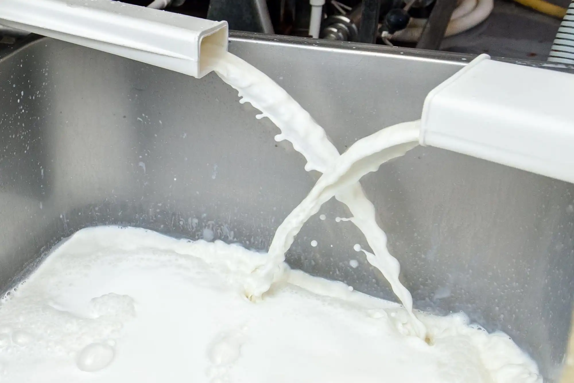 Индекс цен на молочную продукцию FAO в феврале вырос на 4,6%