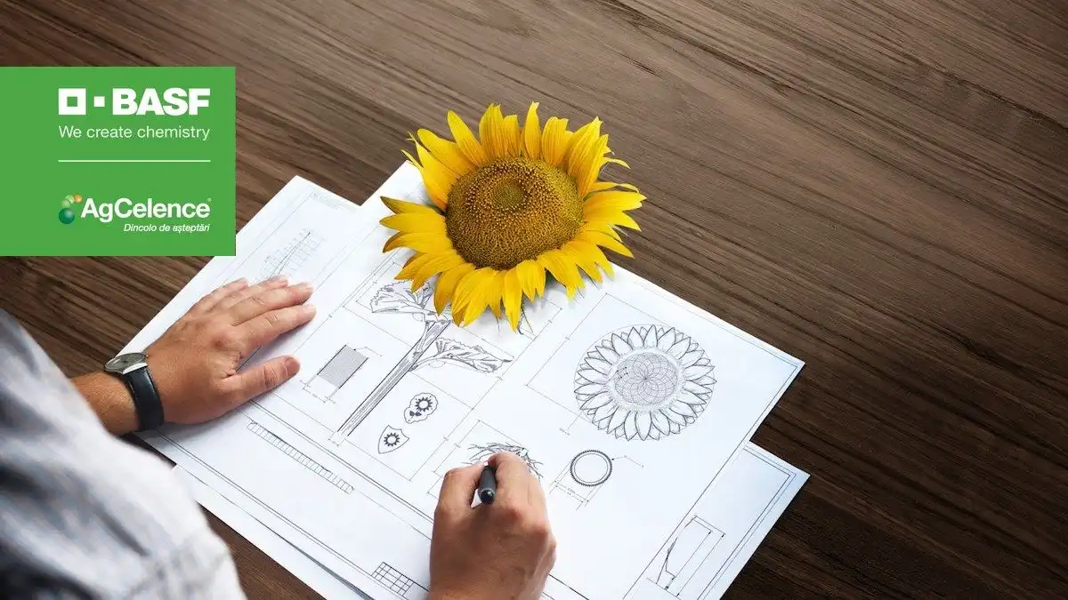 ArchitectТМ – este prima şi unica soluţie, care Vă ajută să măriți adevăratul potenţial al florii-soarelui