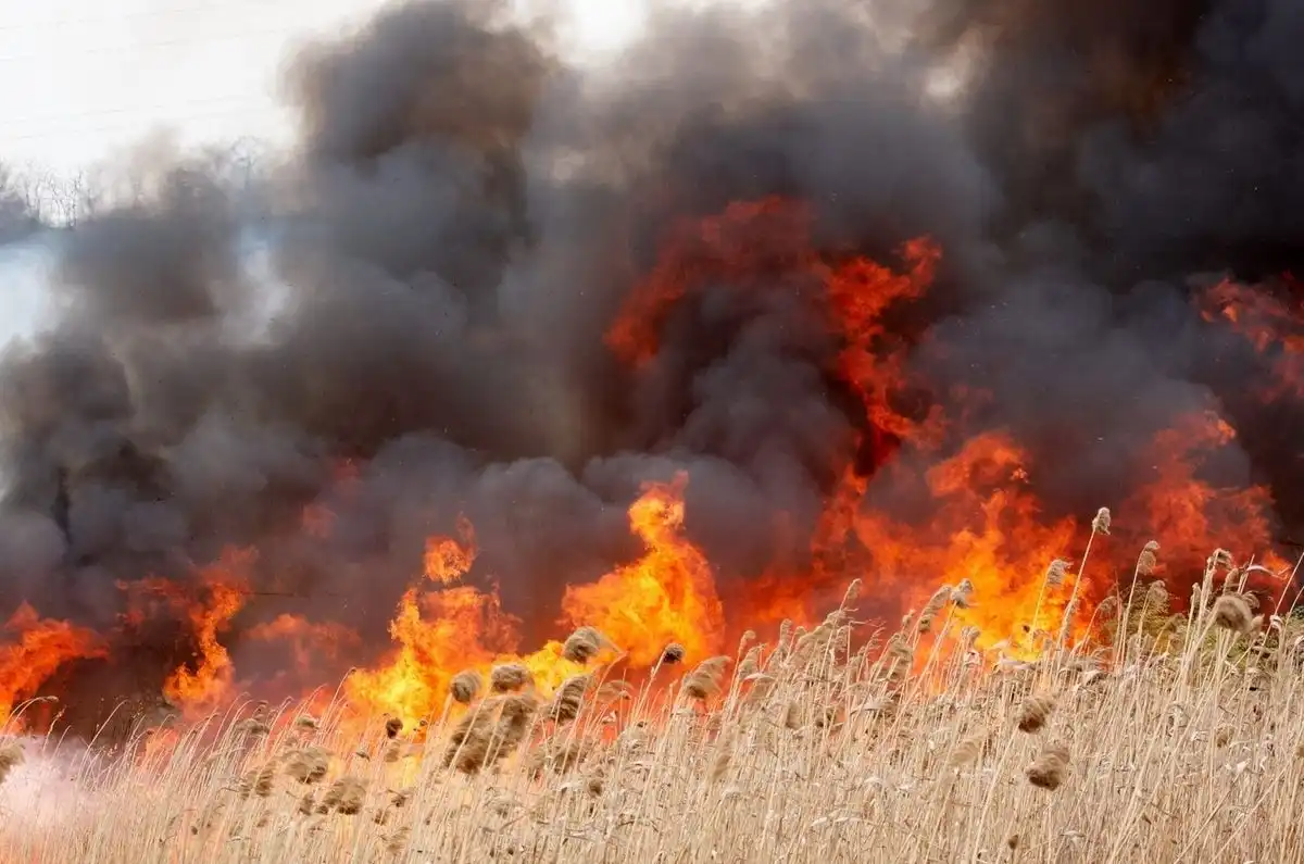 „Nu dați foc la vegetație, mor păsările, iepurașii” – apelul unui pompier după stingerea a 60 de incendii