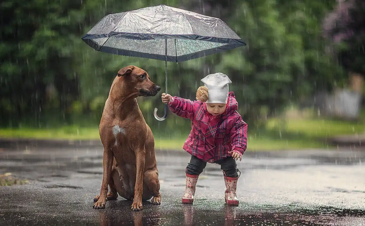 Prognoza meteo actualizată: Vremea până pe 2 mai