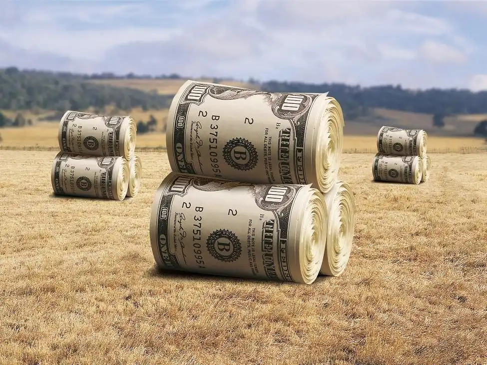 Украина: Что если отменят мараторий на продажу земли?