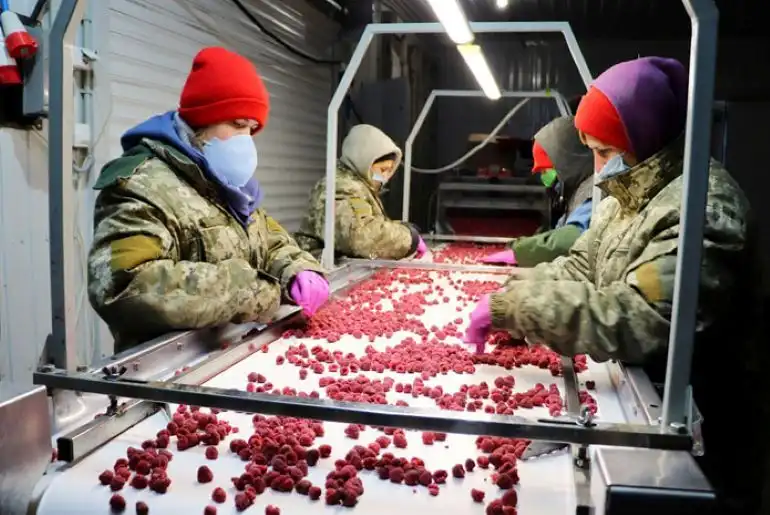 Украинские фермеры готовы платить сезонным работникам в 1,5 раза больше, чем иностранные