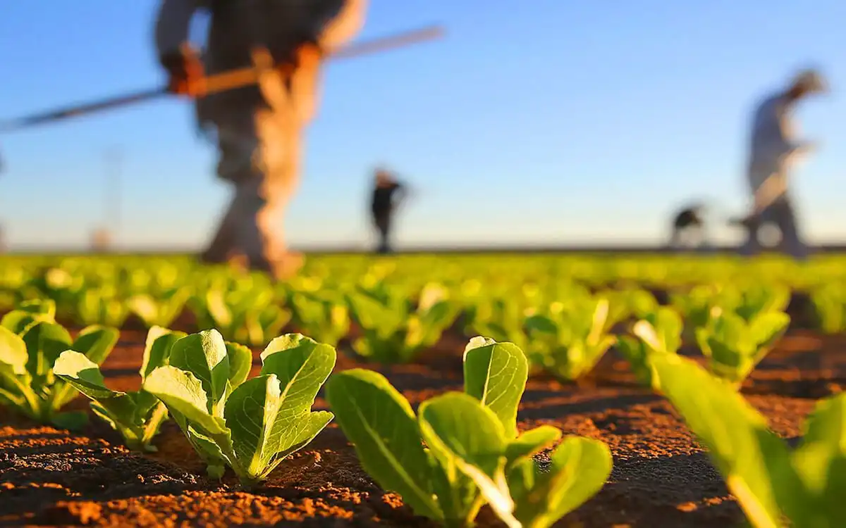 Conceptul de evidenţă în sectorul subvenţiilor pentru agricultură a fost publicat în MO